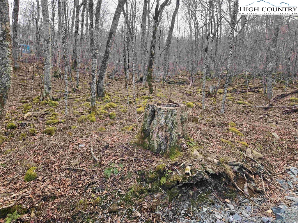Tbd Rock Spring Circle Property Photo 9
