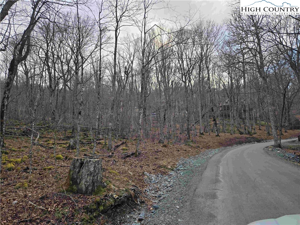 Tbd Rock Spring Circle Property Photo 11
