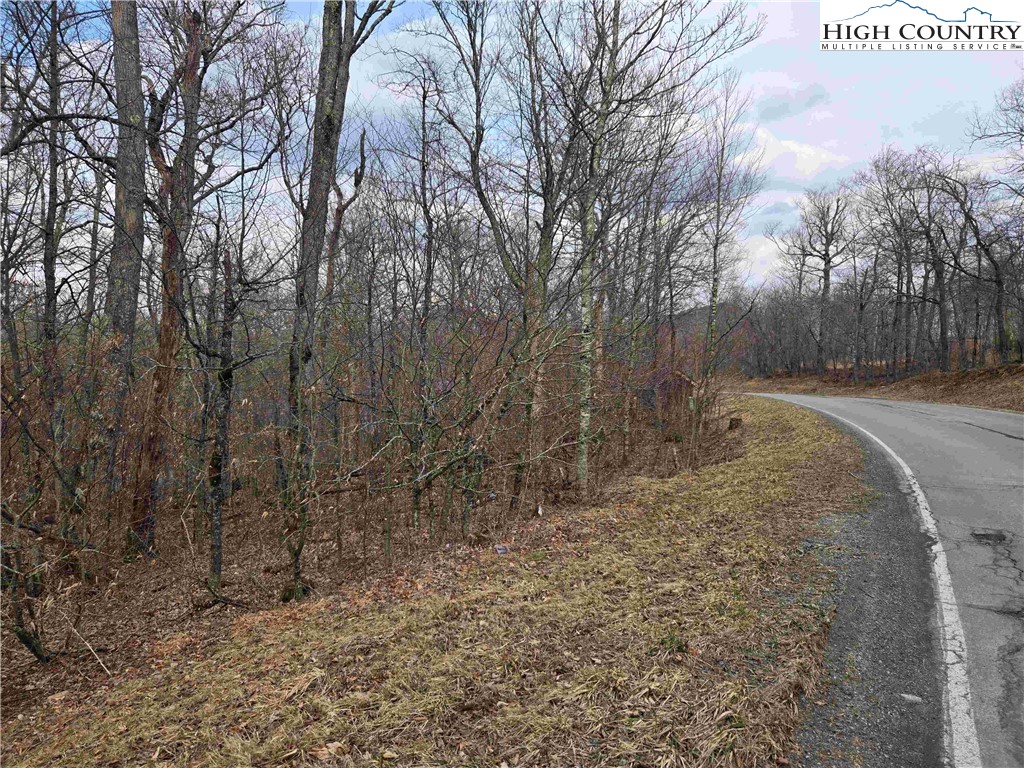 Tbd Rock Spring Circle Property Photo 12