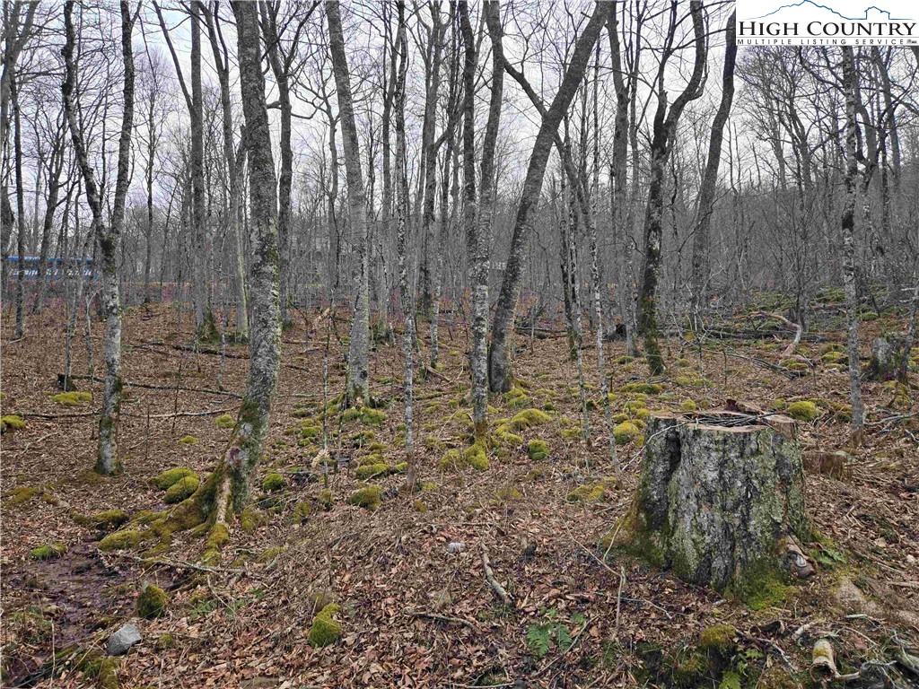 Tbd Rock Spring Circle Property Photo 14