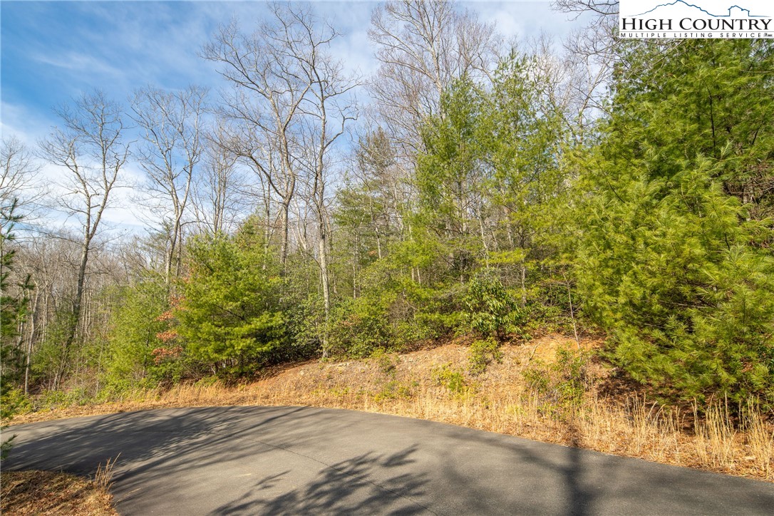 Lot 11 Forever Drive Property Photo 24