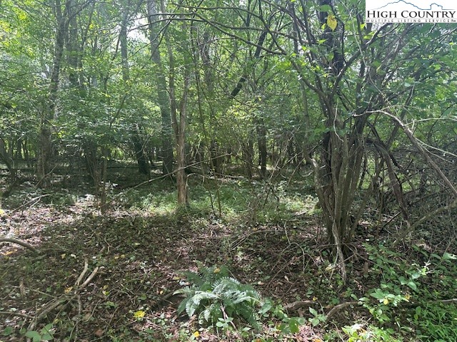 Lot 41 Riverwind Drive Property Photo 2