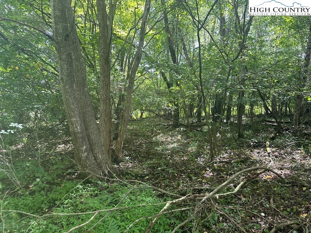 Lot 41 Riverwind Drive Property Photo 3