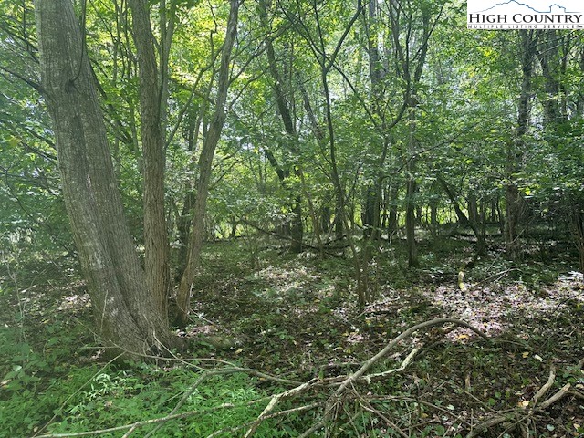 Lot 41 Riverwind Drive Property Photo 4