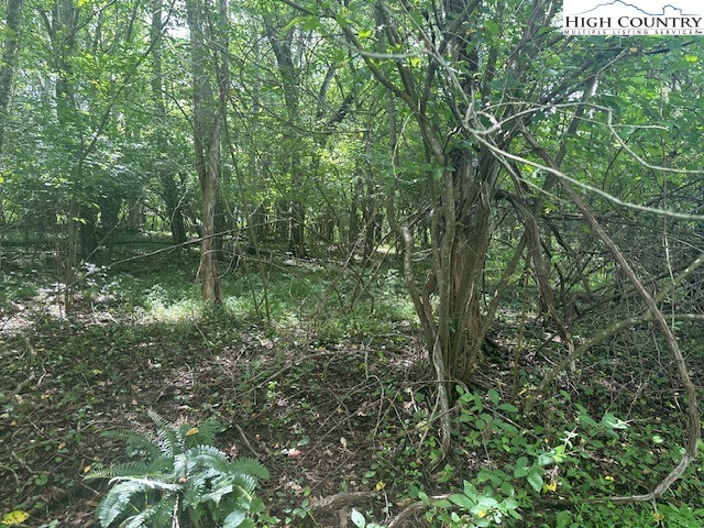 Lot 41 Riverwind Drive Property Photo 5