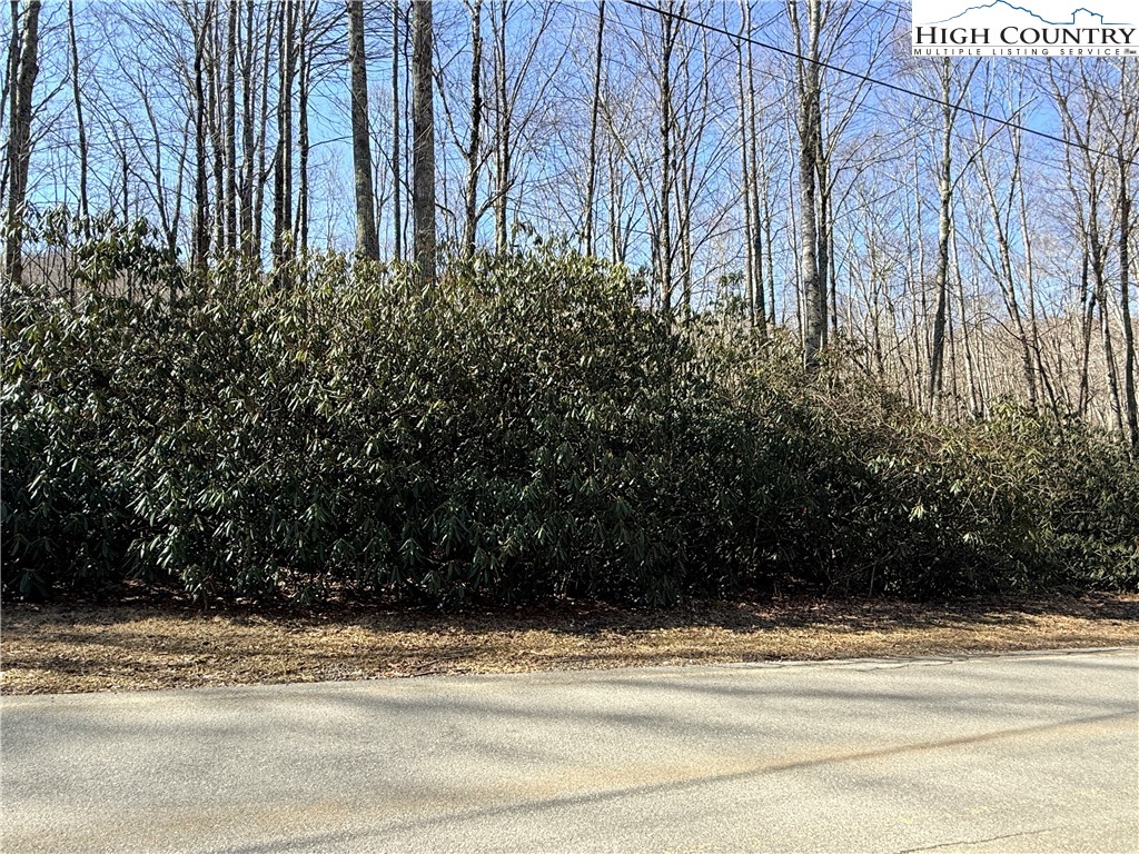 545 Pinnacle Ridge Road Property Photo 2