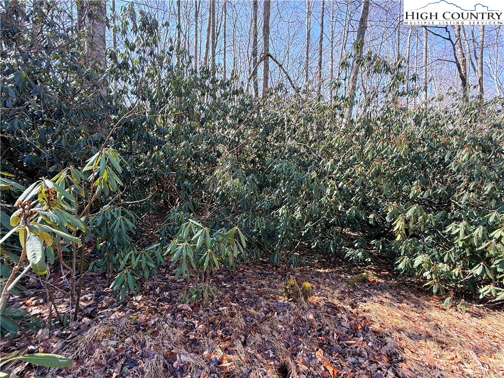 545 Pinnacle Ridge Road Property Photo 3