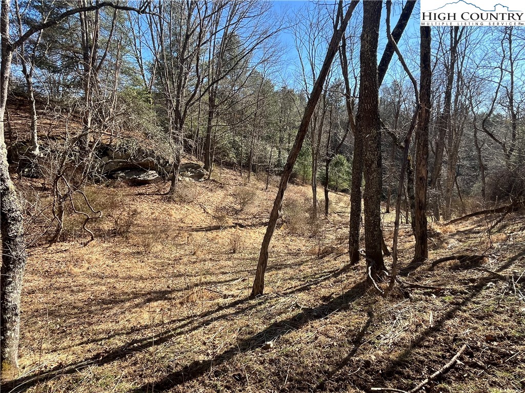 Lot#42 Isabelle Rose Way Property Photo 1