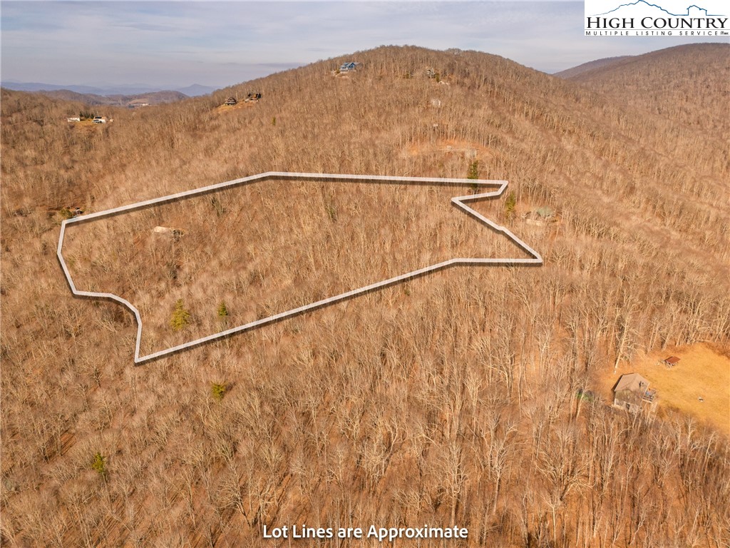 1395 Grady Winkler Road Property Photo 4
