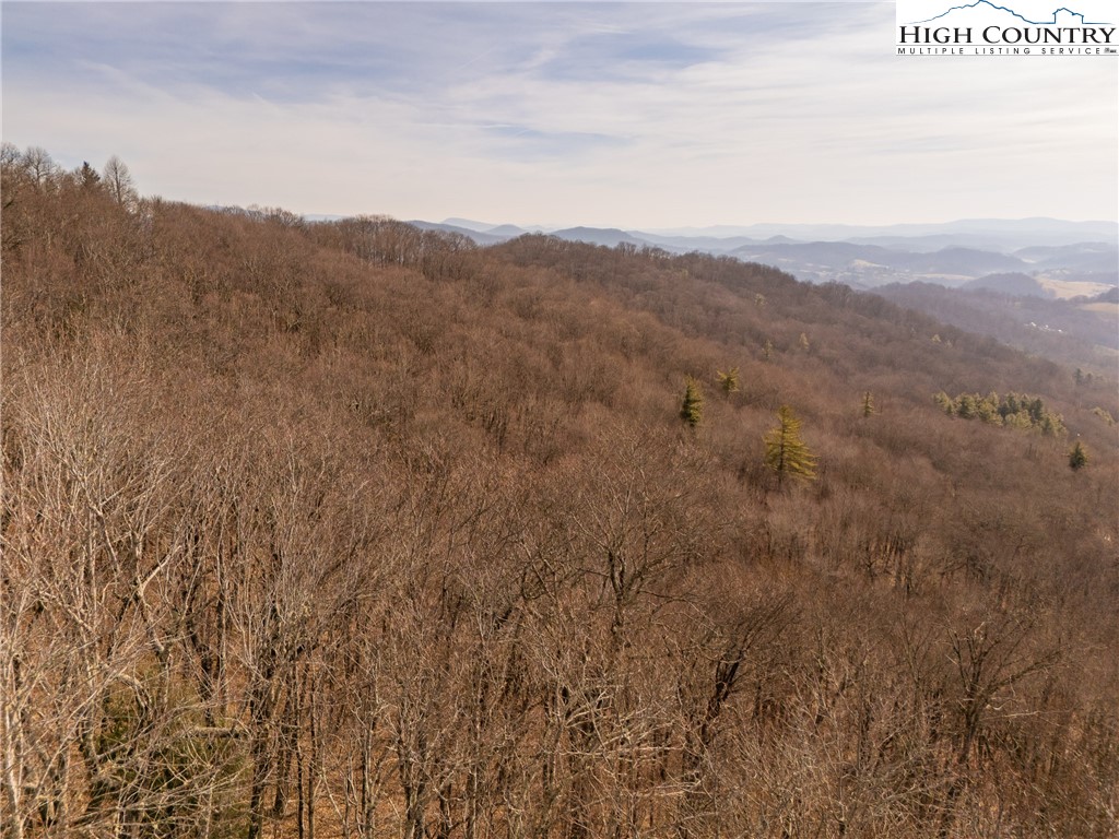 1395 Grady Winkler Road Property Photo 13