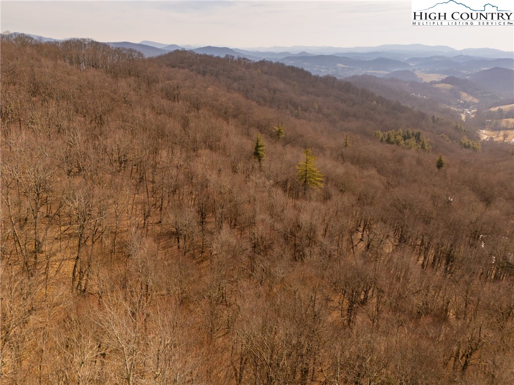 1395 Grady Winkler Road Property Photo 15