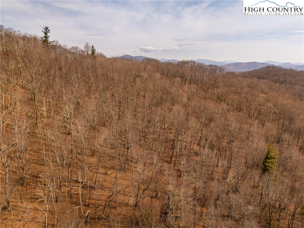 1395 Grady Winkler Road Property Photo 27