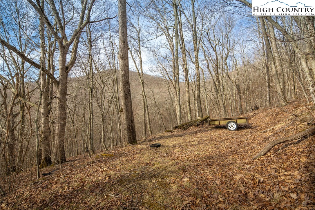 1395 Grady Winkler Road Property Photo 31