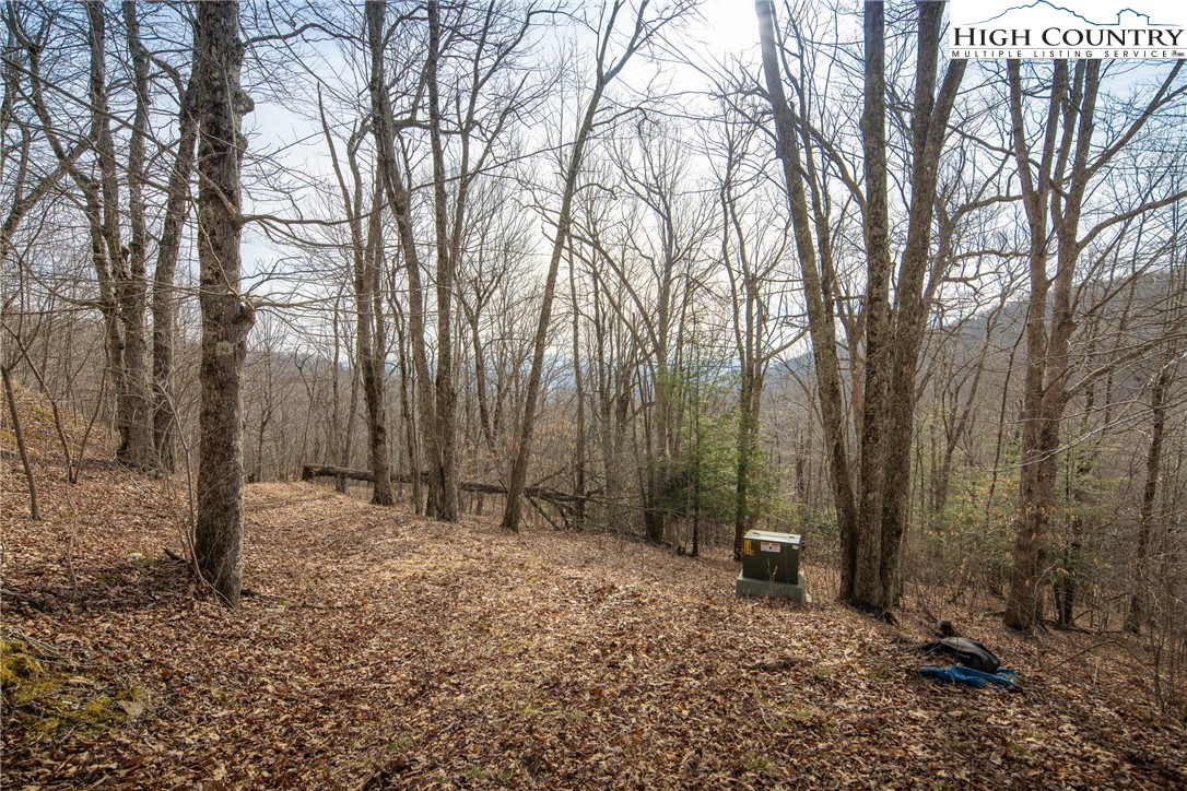 1395 Grady Winkler Road Property Photo 34