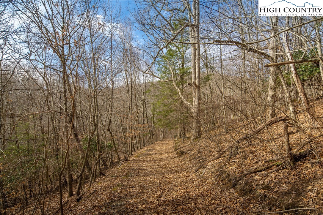 1395 Grady Winkler Road Property Photo 37