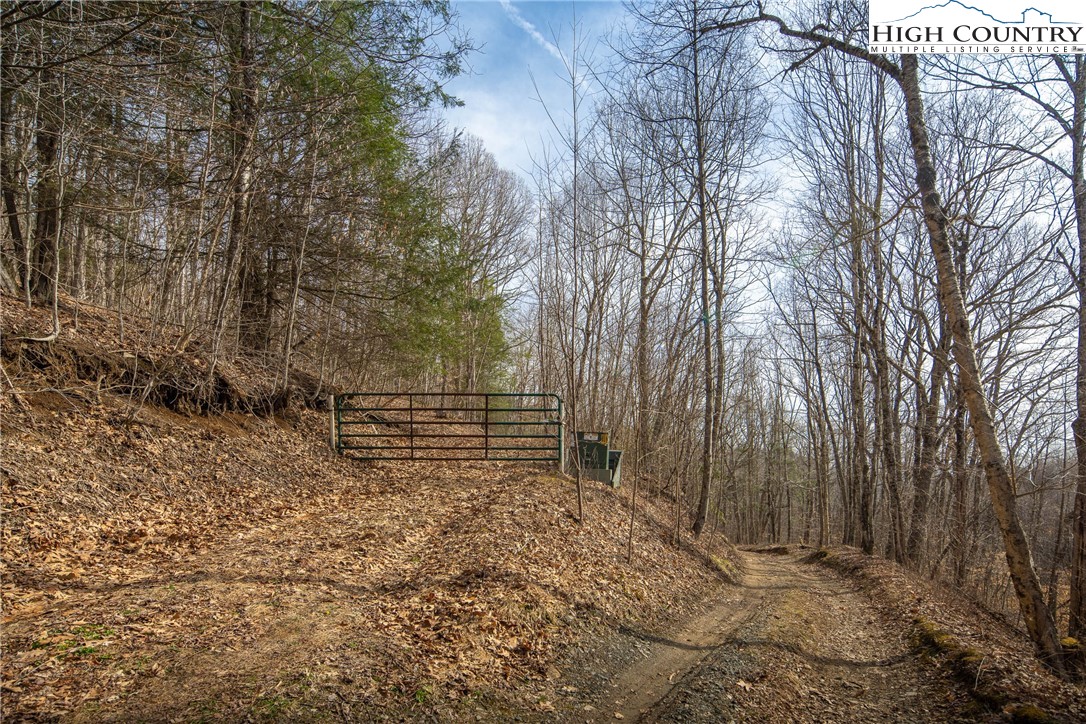 1395 Grady Winkler Road Property Photo 39