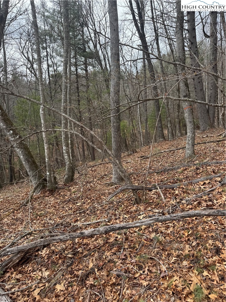 Tbd The Peaks Regal Drive Property Photo 1