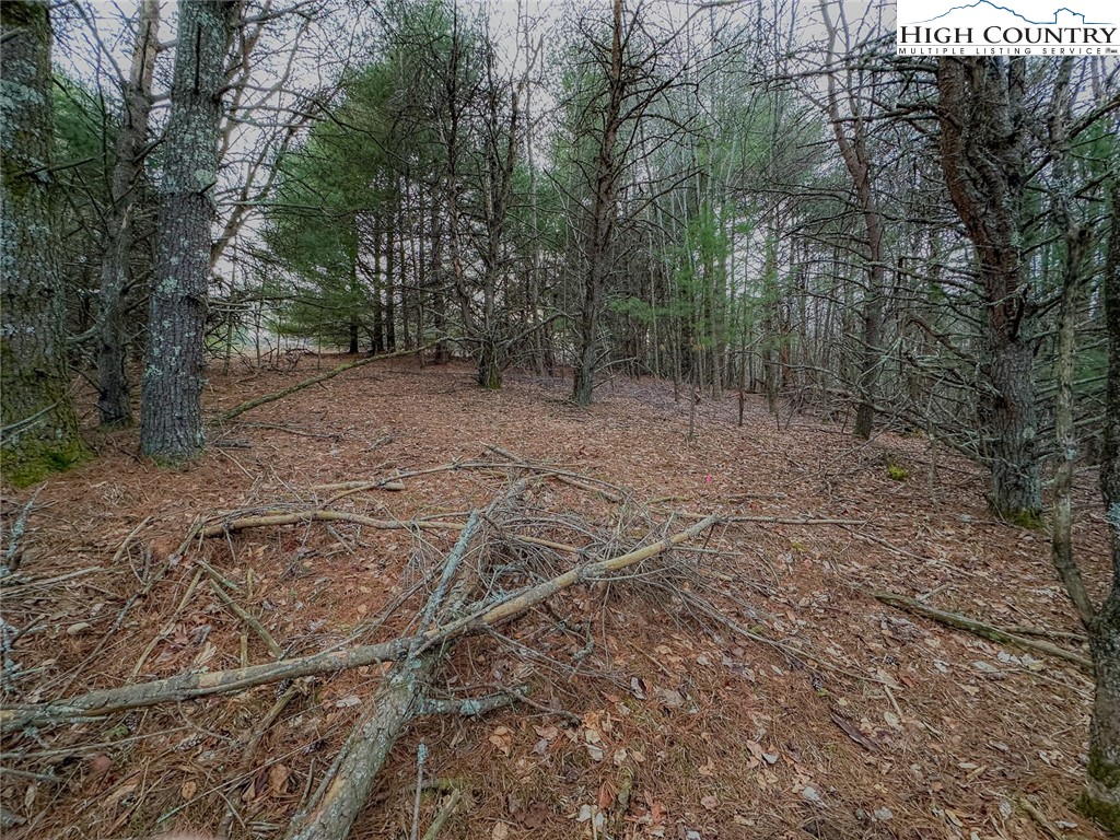Lot 31 Shawnee Trail Property Photo 8