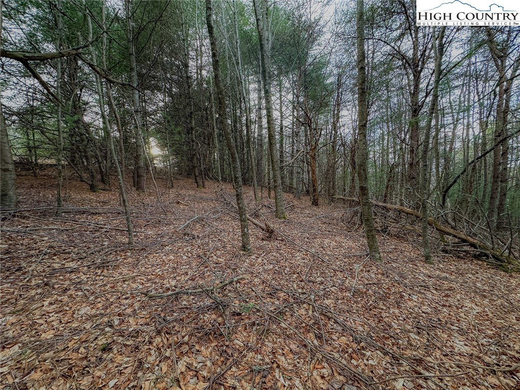 Lot 31 Shawnee Trail Property Photo 9