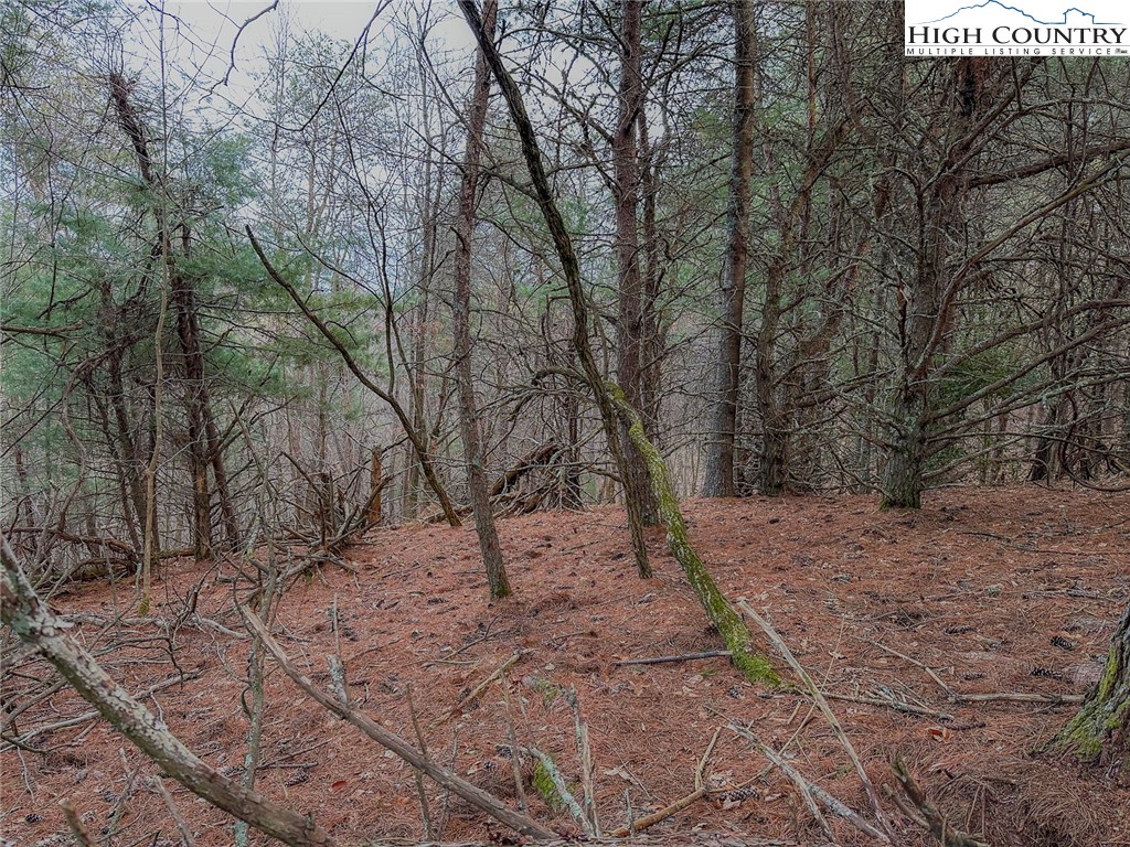 Lot 31 Shawnee Trail Property Photo 10
