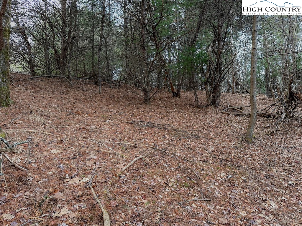 Lot 31 Shawnee Trail Property Photo 11