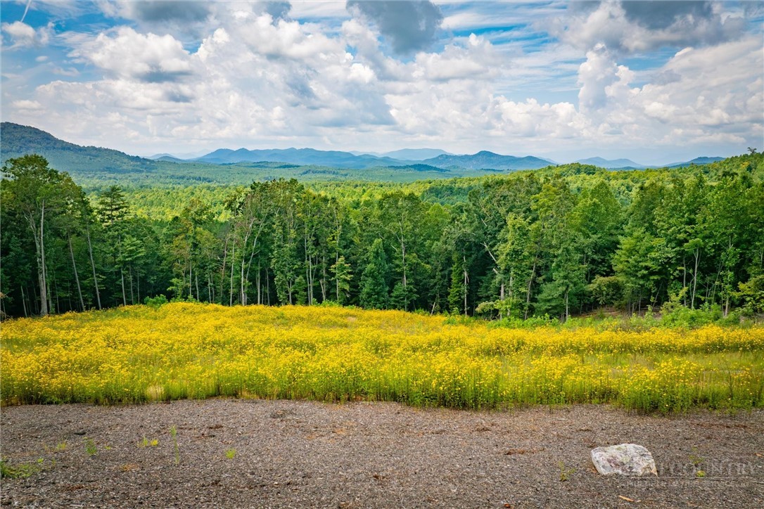 463 Summit Trail Property Photo 40