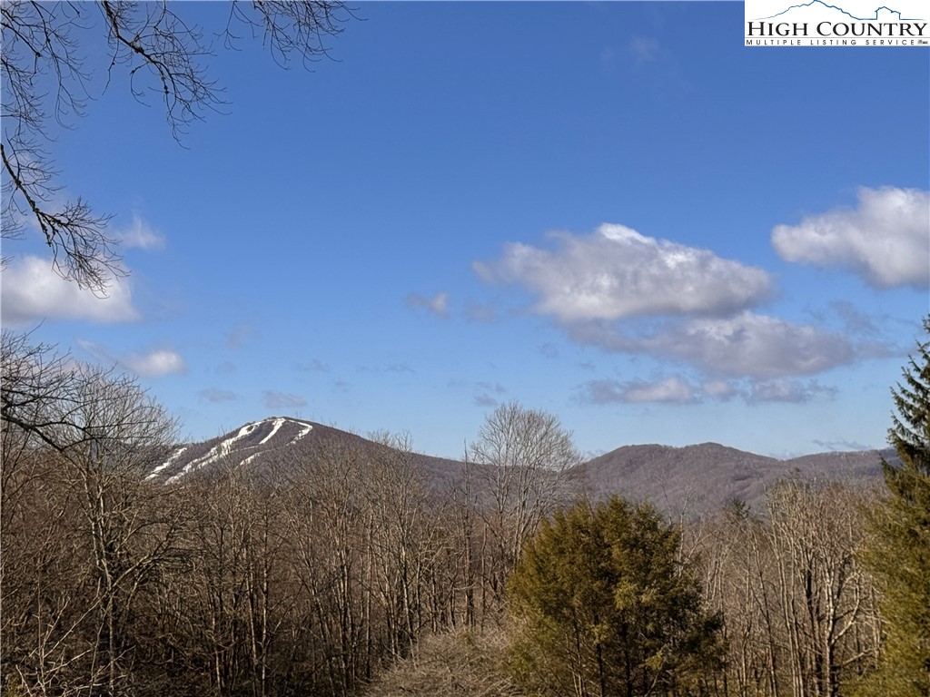 Tbd Horse Bottom Road Property Photo 2