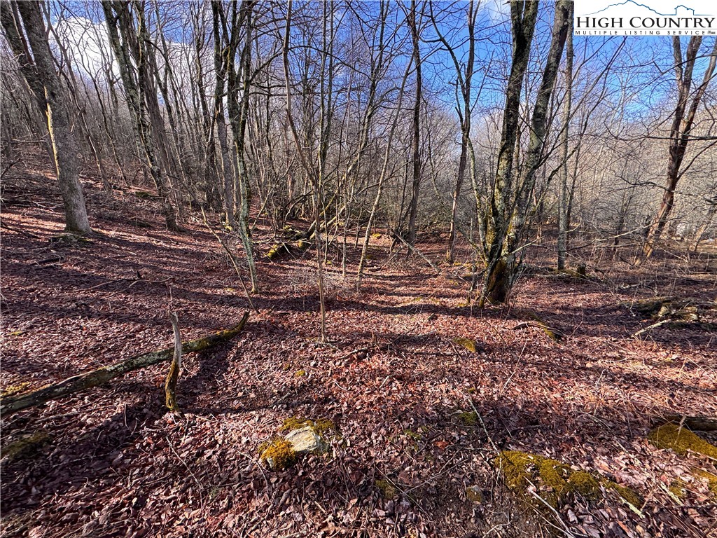 Tbd Horse Bottom Road Property Photo 11