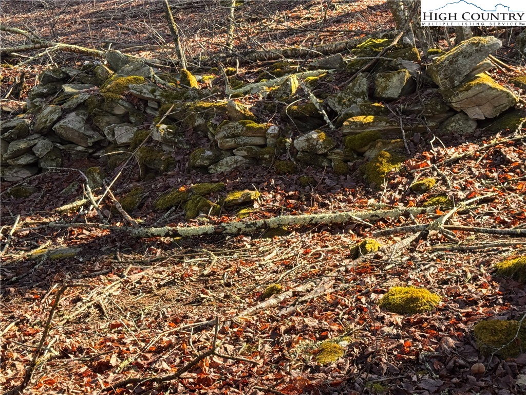 Tbd Horse Bottom Road Property Photo 12
