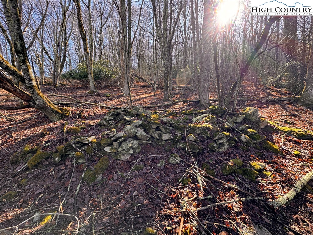 Tbd Horse Bottom Road Property Photo 13