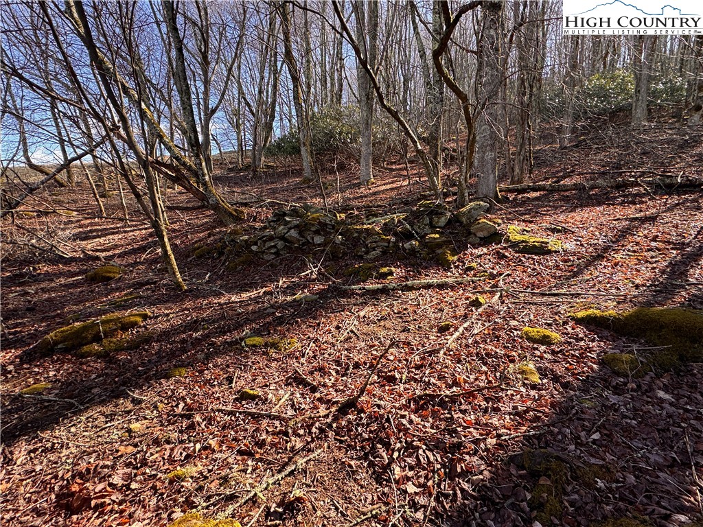 Tbd Horse Bottom Road Property Photo 14