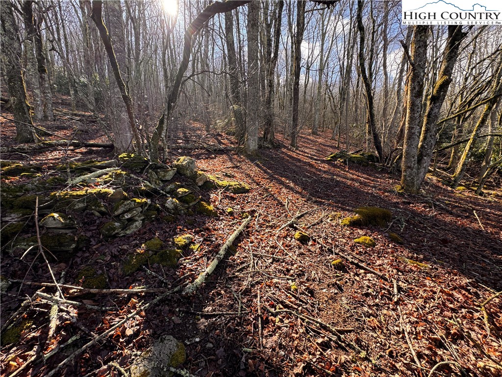 Tbd Horse Bottom Road Property Photo 15