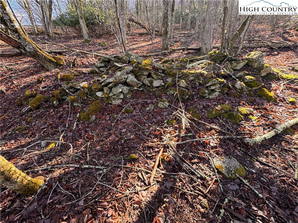 Tbd Horse Bottom Road Property Photo 16