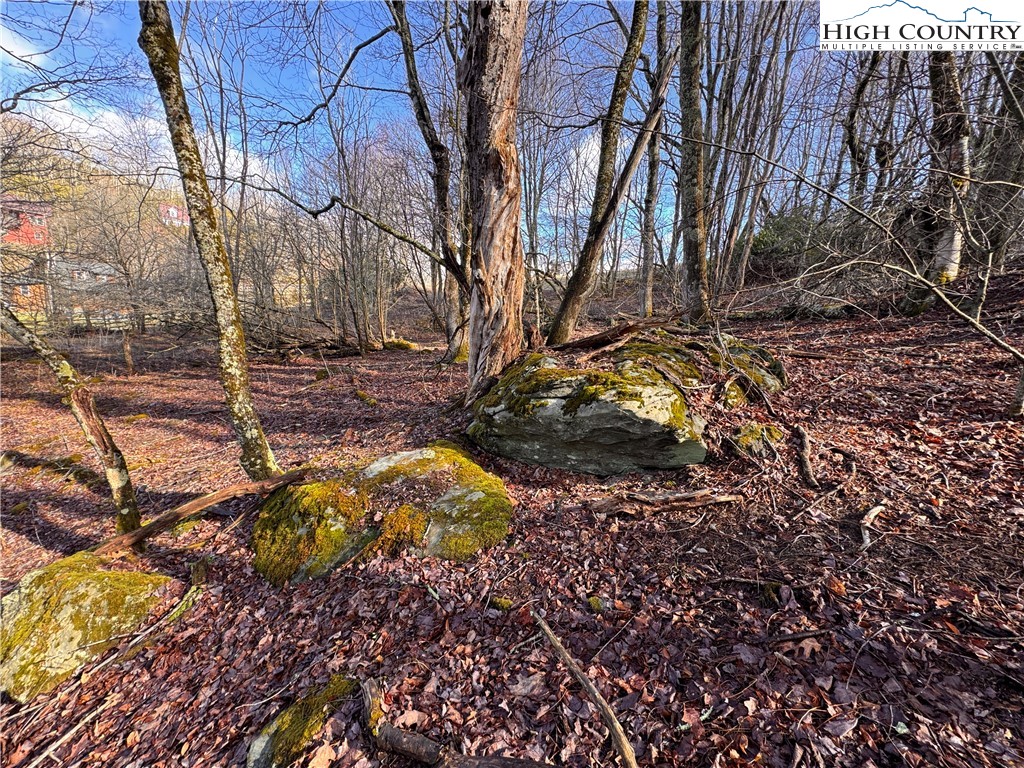 Tbd Horse Bottom Road Property Photo 17
