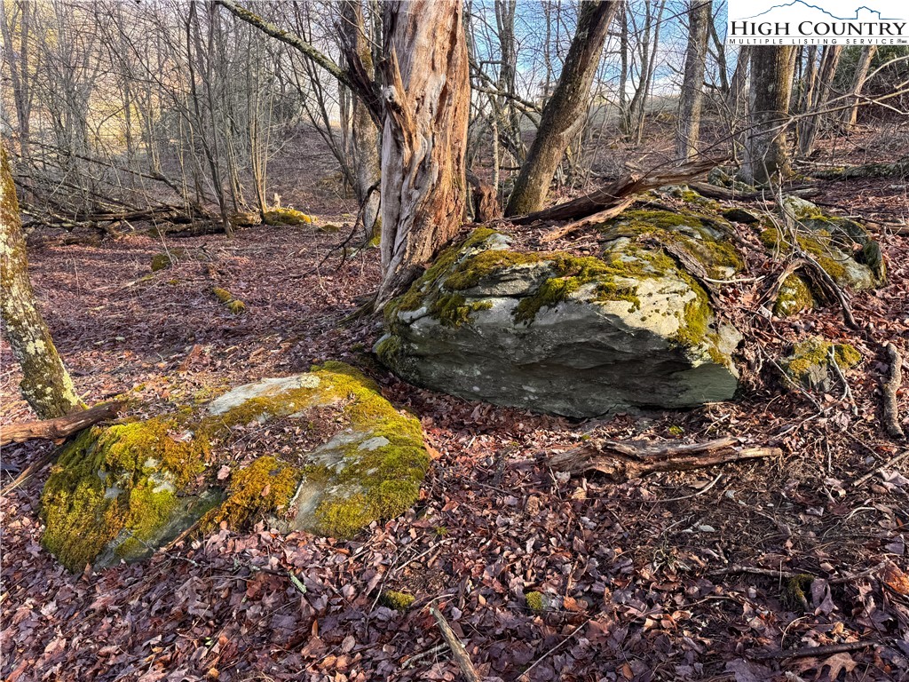 Tbd Horse Bottom Road Property Photo 18
