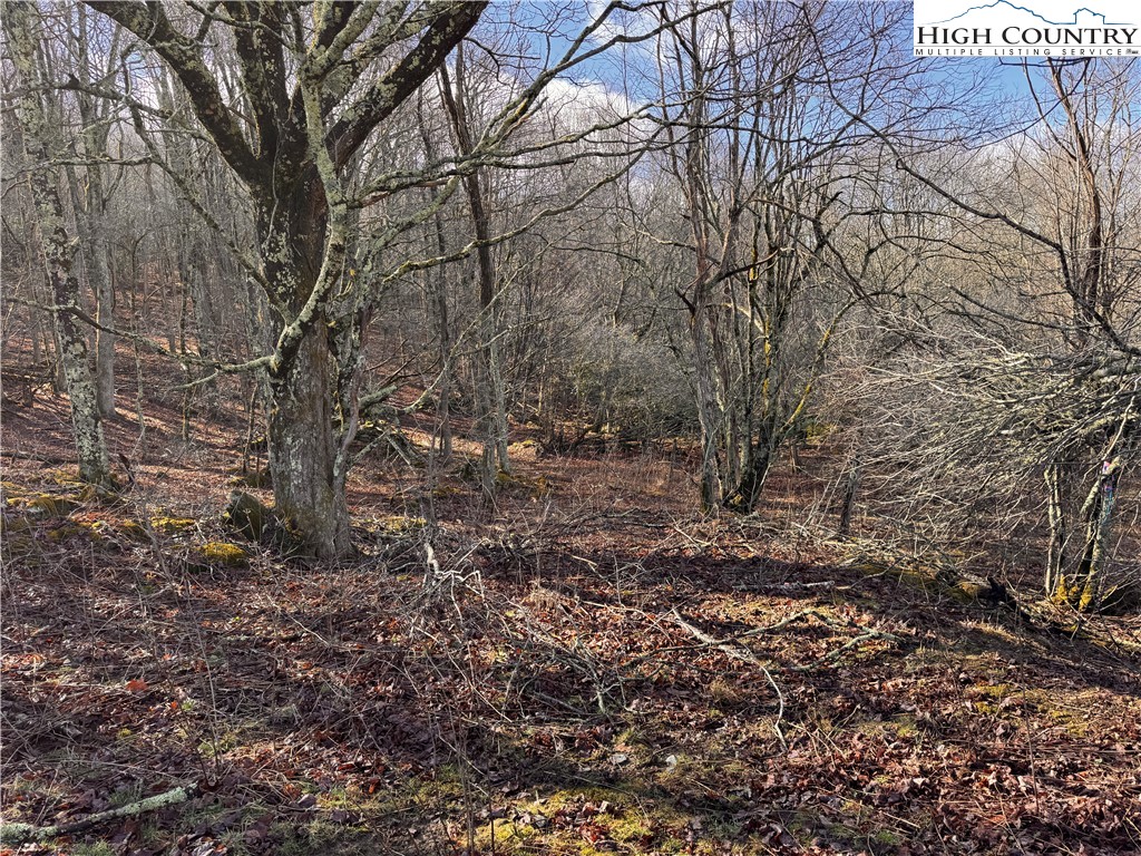 Tbd Horse Bottom Road Property Photo 19