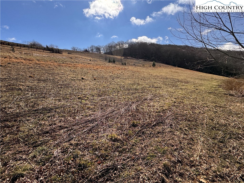 Tbd Horse Bottom Road Property Photo 20