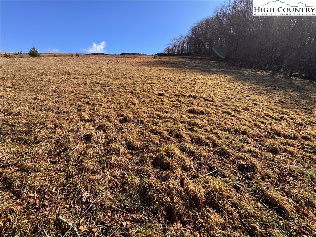 Tbd Horse Bottom Road Property Photo 29
