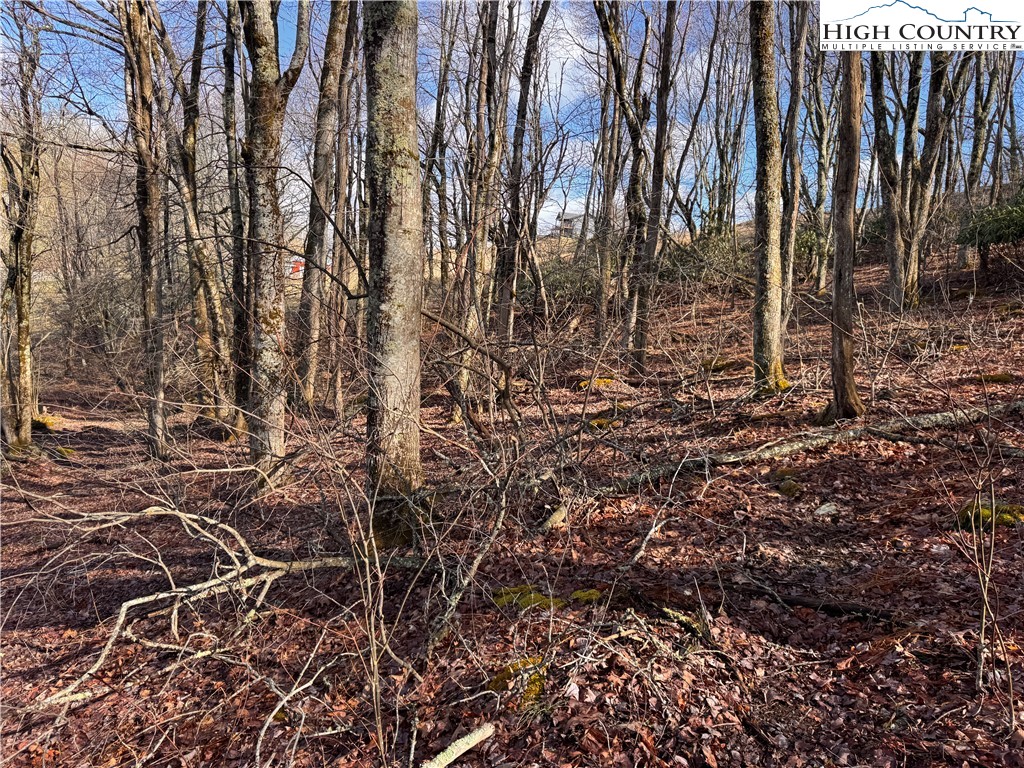 Tbd Horse Bottom Road Property Photo 31
