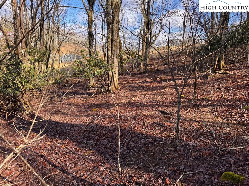 Tbd Horse Bottom Road Property Photo 32