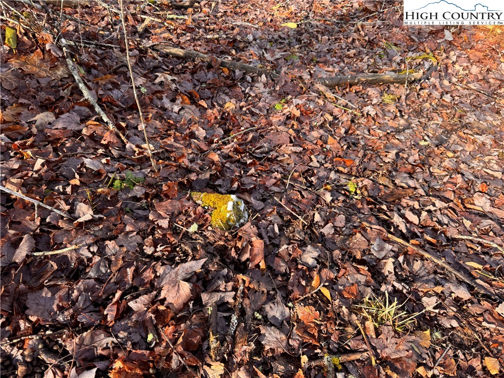 Tbd Horse Bottom Road Property Photo 33