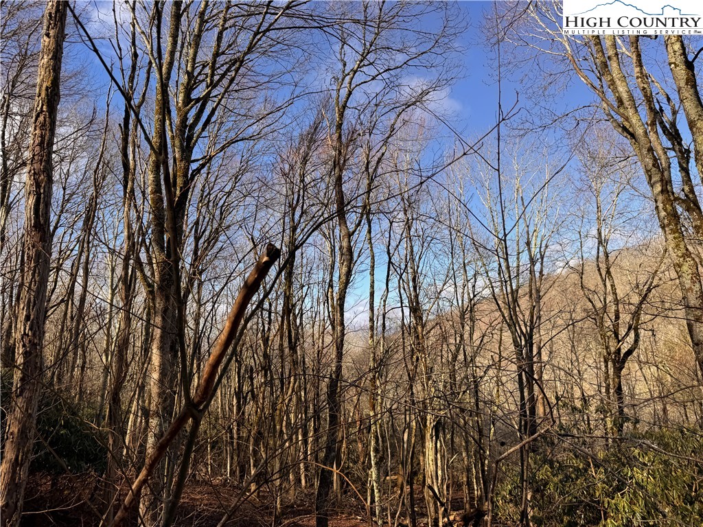 Tbd Horse Bottom Road Property Photo 34