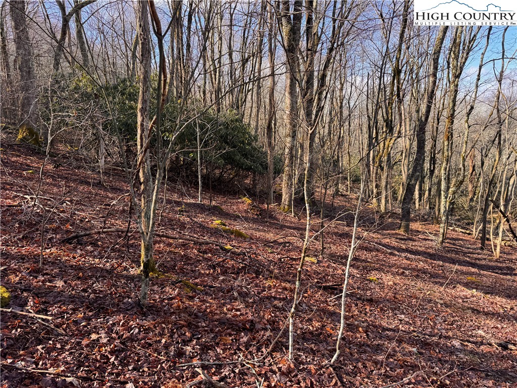 Tbd Horse Bottom Road Property Photo 35