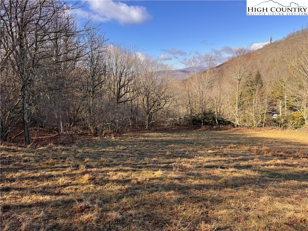 Tbd Horse Bottom Road Property Photo 38