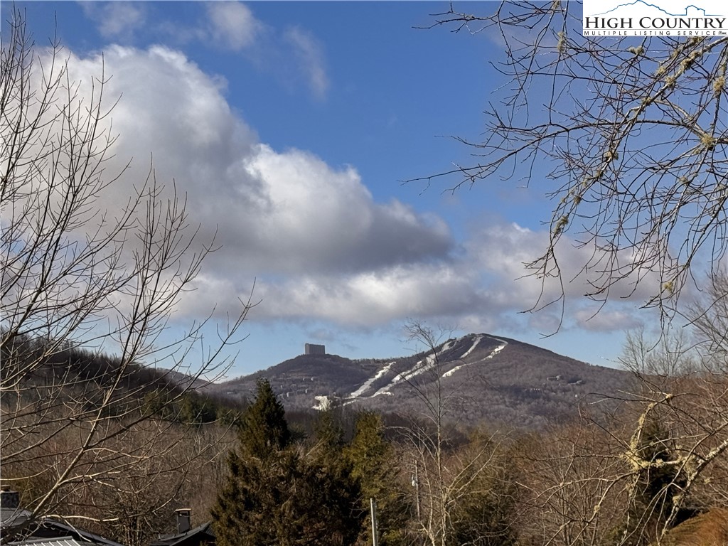 Tbd Horse Bottom Road Property Photo 40