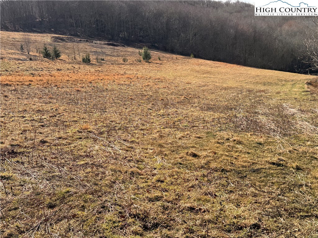 Tbd Horse Bottom Road Property Photo 46