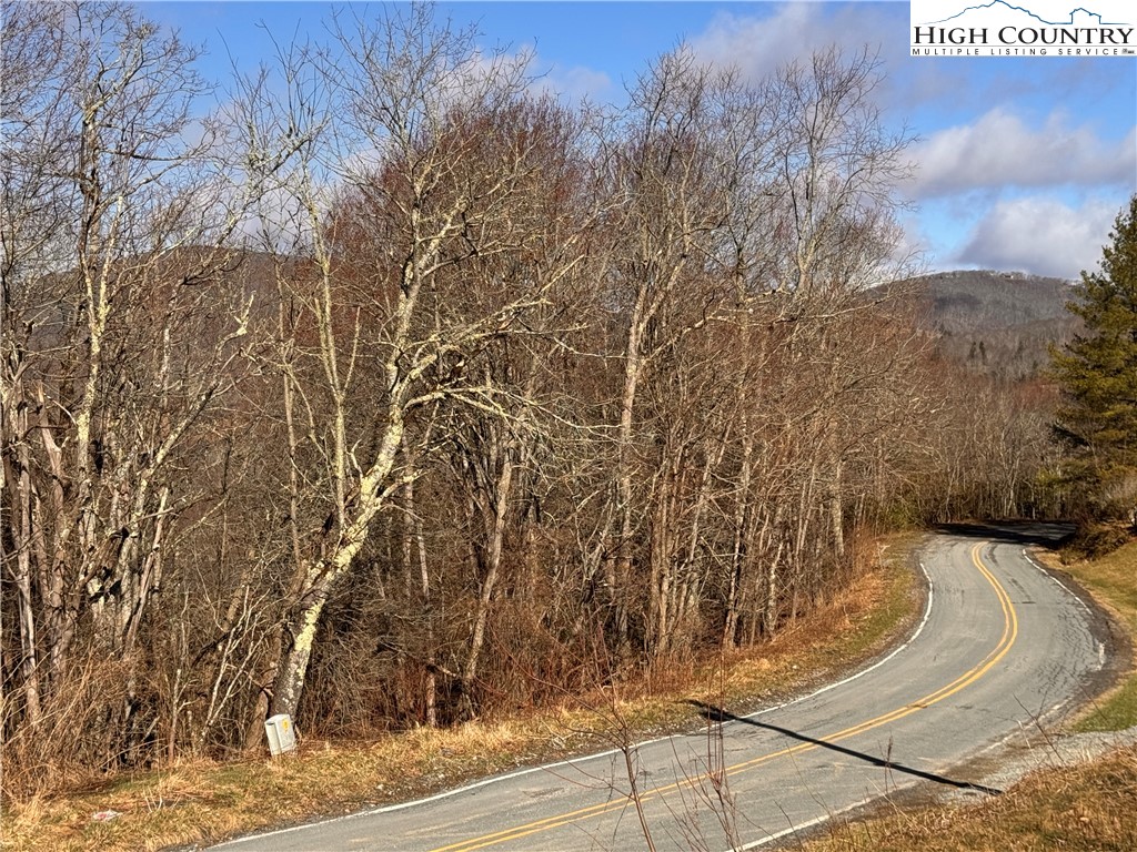 Tbd Horse Bottom Road Property Photo 49