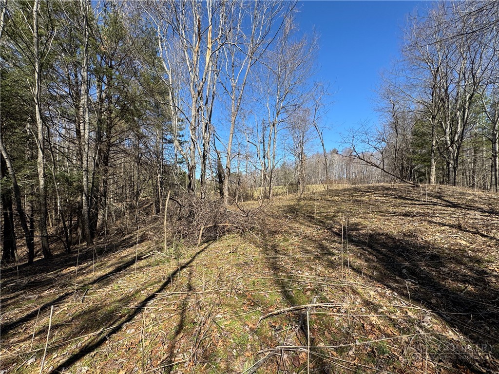 4 +/- Acres Hwy 194 Property Photo 1