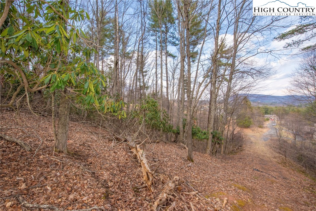 Tbd High Meadows Lane Property Photo 1