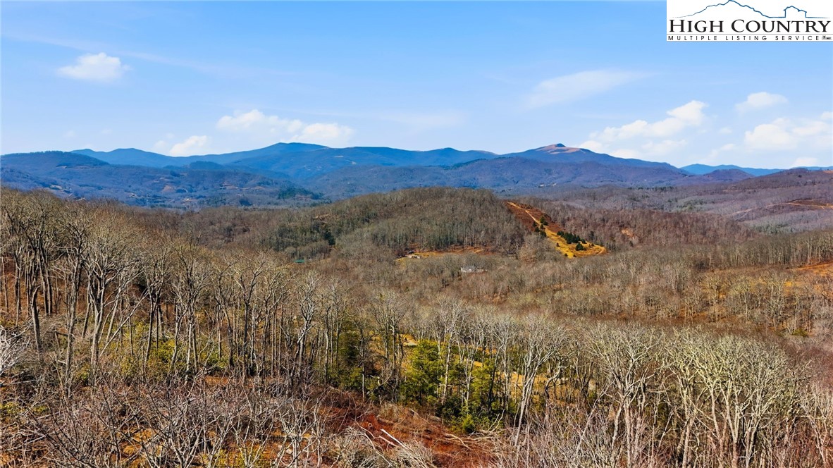 Lot 16 High Forest Drive Property Photo 1